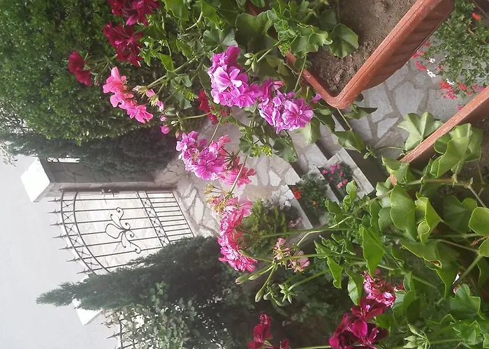 Konukevi Bella Vista 3*