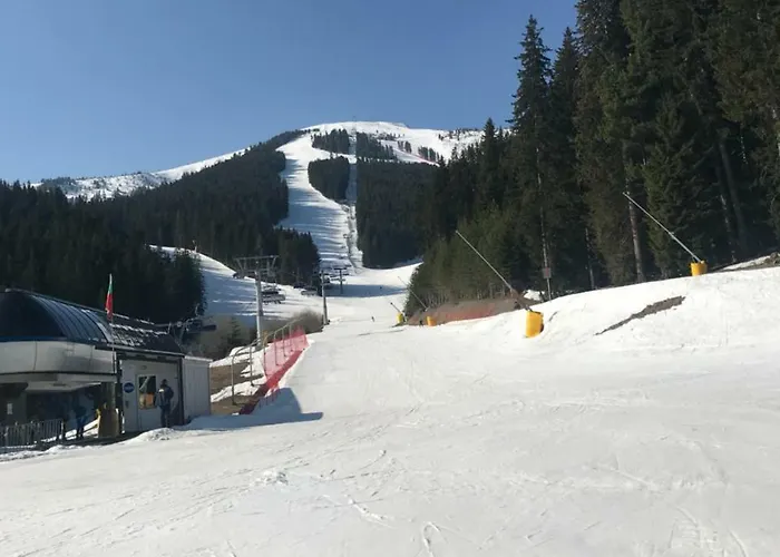 Bella Vista Konukevi 3*